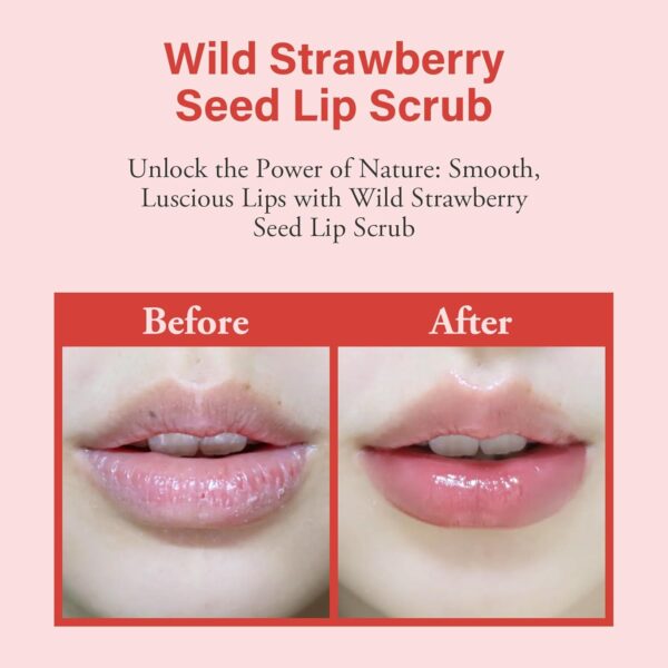 Wild Strawberry Seed Lip Scrub - Exfoliating & Moisturizing Lip Treatment with Olive Oil, Jojoba Oil, Coconut Oil, Natural Strawberry Extract - Includes Dual-Sided Silicone Brush, 1.01oz - Image 3