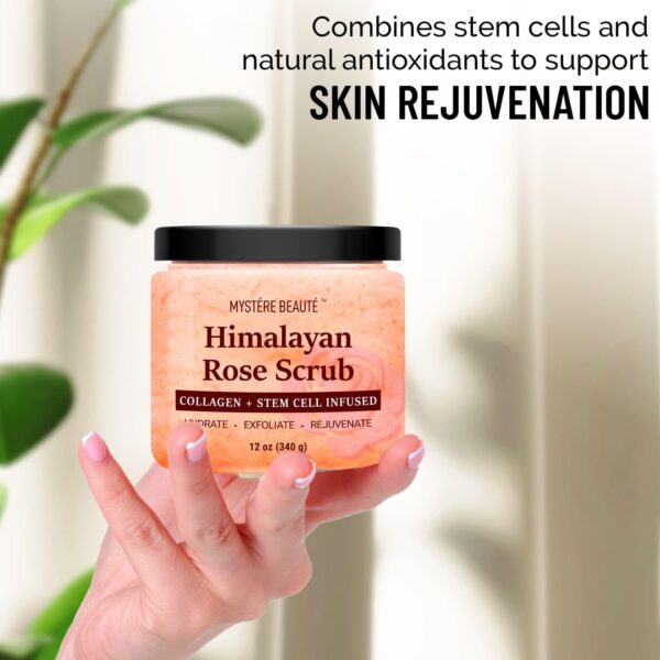 Himalayan Salt Body Scrub 12 oz each Twin Pack - with Collagen and Stem Cells - Exfoliating Salt Scrub for Cellulite - Deep Cleansing for Acne, Scars, Wrinkles - Moisturizes Skin - Image 3