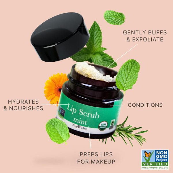 USDA Organic Lip Scrub Mint - USA Made All Natural Lip Exfoliator, Stocking Stuffers for Adults, Sugar Lip Scrubber for Dry Lips, Best Women's Stocking Stuffers, Teenage Stocking Stuffers - Image 3