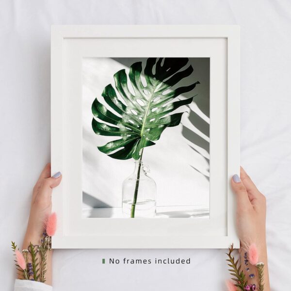 Botanical Prints Poster Wall Decor, Motivational Wall Art Prints Poster, 8x10 Canvas Prints Unframed Set of 4, Plant Posters Aesthetic for Bedroom - Image 7